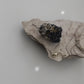 Mantle